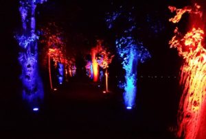 Veranstaltungshighlights