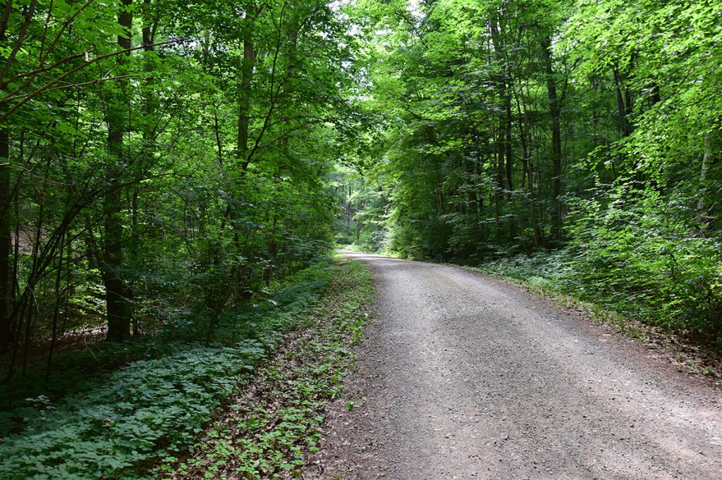 Geologische Rundwege im Huy